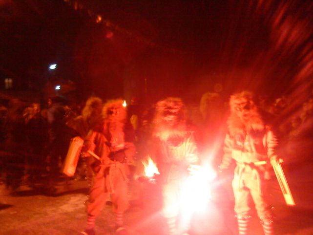 R&auml;teschebube bei Umz&uuml;ge Bild Nr.8