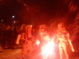 Räteschebube bei Umzüge Bild Nr.8