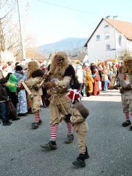 Räteschebube bei Umzüge Bild Nr.27